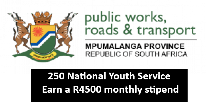 250 National Youth Service (NYS) Opportunities for Youth and Persons with Disabilities (PWDs) in Mpumalanga